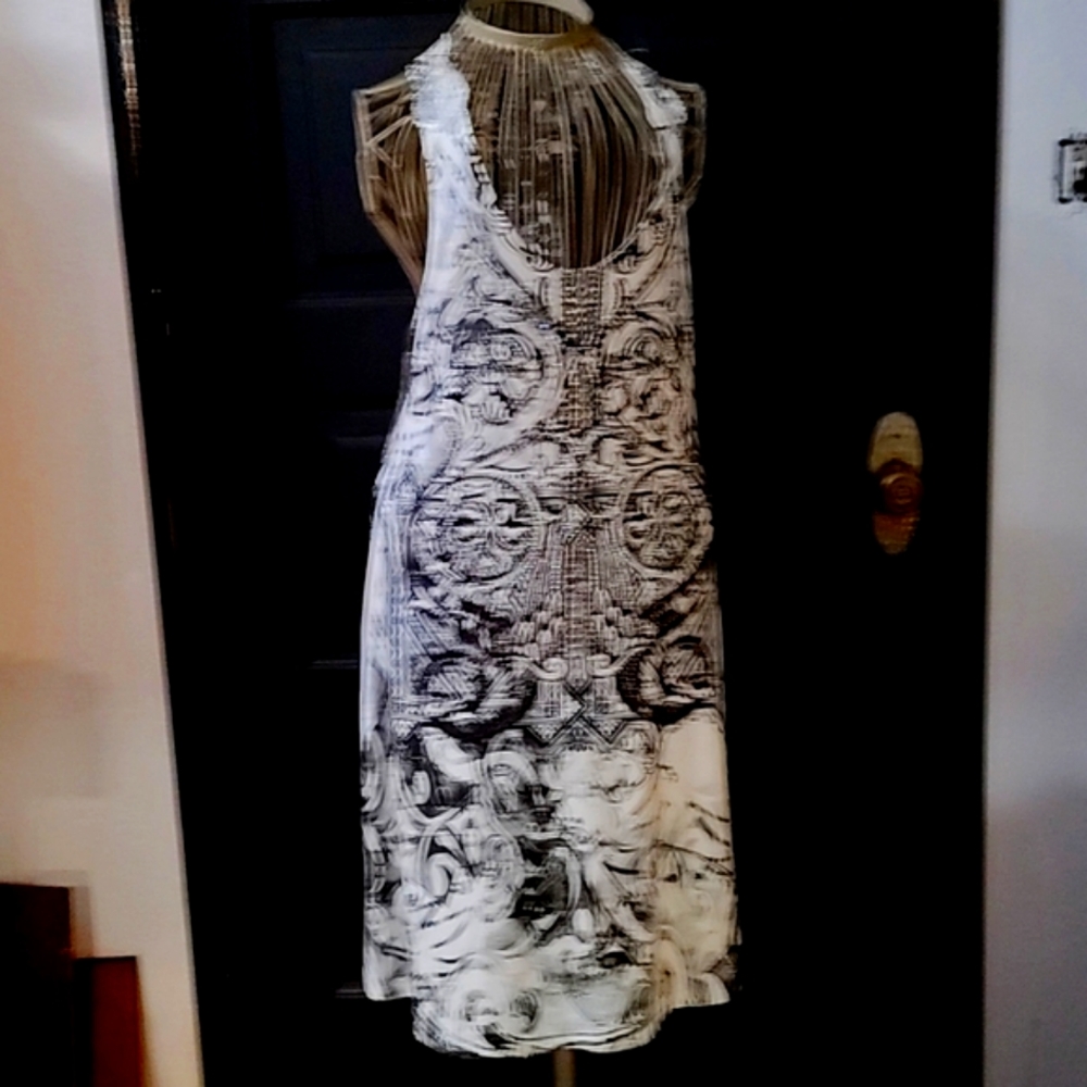 S-Twelve dress, Very Sheer With Lining
